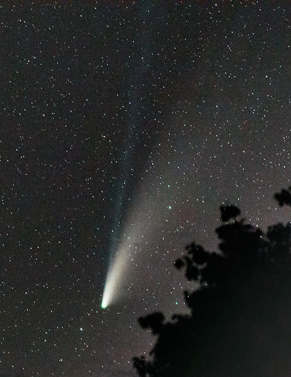 Comet NEOWISE